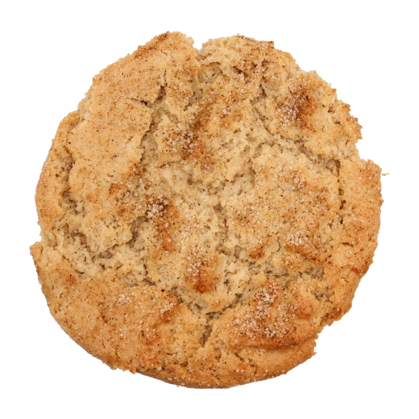 Chai snickerdoodle jumbo cookie coated in cinnamon sugar